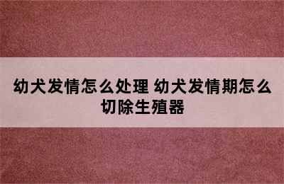 幼犬发情怎么处理 幼犬发情期怎么切除生殖器